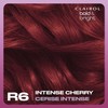 Clairol Bold & Bright Permanent Hair Dye, R6 Intense Cherry