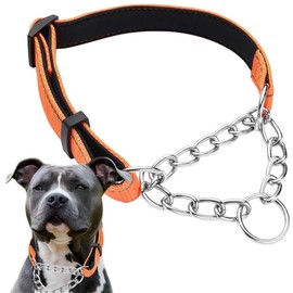 Orange Martingale Collar for Dogs, Reflective Nylon Dog Collar Adjustable Stainless Steel Chain Collar Female No Pull Pet Training Collar for Small Medium Large Dogs, L
