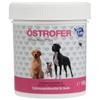 NutriLabs Estrofer for dogs to support hormone balance - double