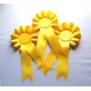 10 X Mixed Blank Rosettes Quality 1 Tier Rosettes Celebration
