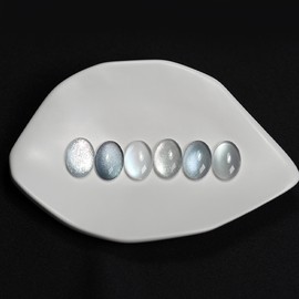 From the Nail Magnetic Gel Blue Silver 6-piece set / 프롬더네일 자석젤 블루실버 6종 세트
