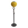 Hand Grip Strengthener Wrist Forearm Hand Exercise Ball with Adjustable