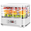 VIVOHOME Electric 5 Trays Food Dehydrator Machine, 400W Hydrator Machine