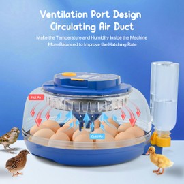 18-36 Egg Incubator with Automatic Egg Turning & Smart Humidity Control - Digital Poultry Hatcher for Chicken, Duck, Quail, Goose, Parrot Eggs - 360° View for Farm, Classroom, Home Use