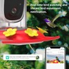 VKfoy Solar-Powered Hummingbird Feeder with 2K HD Camera, AI Bird