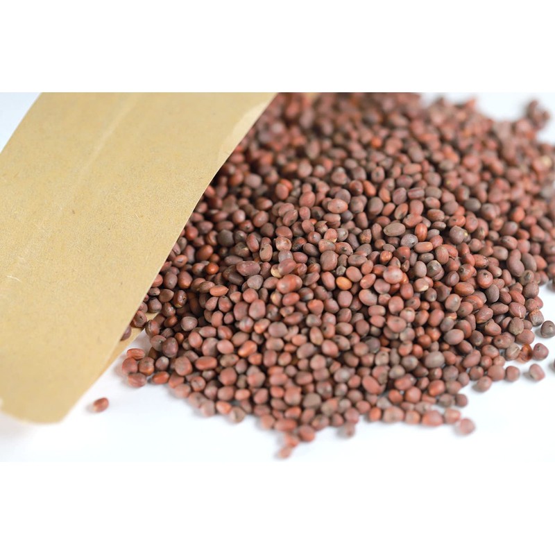 New Packaging Raphani Semen Lai Fu Zi 莱菔子6oz