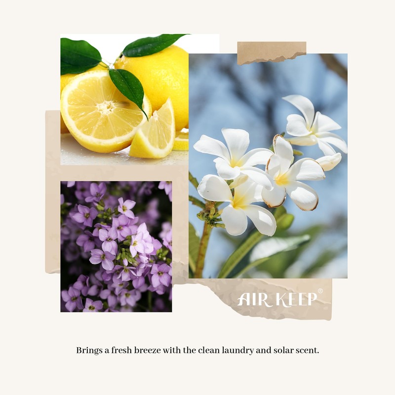 Airkeep Reed Diffuser Set,3.38 fl oz (100 ml) - Clean