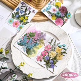 Nuanchu Pastel Dried Flower for Crafts Resin Pressed Flowers Bulk Real Dried Wildflowers Leave Natural with Tweezer for Scrapbooking Nail Soap Candle Cake Card Making DIY Christmas Craft Supplies