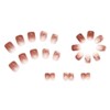 ISHR Nail Tips, 24 Pieces, False Nails, 3D Dimensional, Hand,