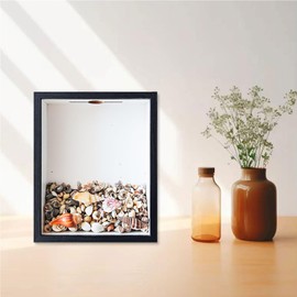 Shadow Box with Slot On Top, 8.5"x10.5" Seashell Display Case, Decorated with Shells and Starfish Ornaments, Black