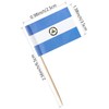 GentleGirl National toothpick flag (Nicaragua)