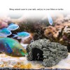 Turtle Lair Reptile Shelter Reptile Cave Turtle Floating Island Resin