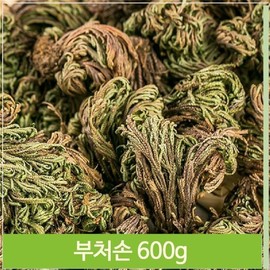 Wild harvested Buddha's hand 600g Kwonbaek natural dyed bath salt non-food (7563927) / 야생 채취 부처손 600g 권백 천연염색 입욕제 비식품 (7563927)