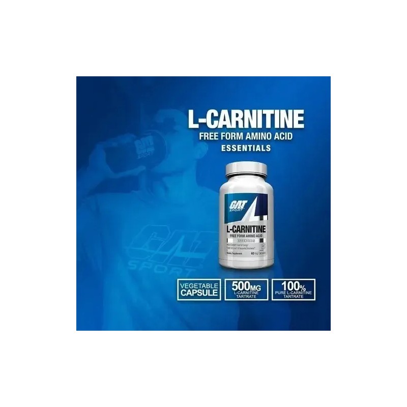 L-carnitina Gat Sport 60 Capsulas Suplemento Alimenticio