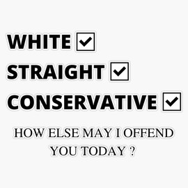 Republican Gifts Men Women White Straight Conservative Funny Sticker Vinyl Decal Bumper Sticker 5"