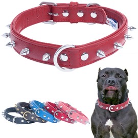Red Spiked Leather Dog Collar| 12" x 5/8" (for Neck Size: 6.5"- 9.5") | Soft & Durable | Studded Dog Collar | Stainless Steel Hardware | Center Dee Ring | Rotterdam Collection by Angel Pet Supplies