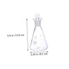 Hohopeti 4pcs Iodine Flask Lab Experiment Beaker Lab Volumetric Flasks