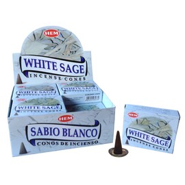 Hem White Sage Cones Set of 12 