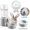 Drinking Bottle Rabbit, 2 Pieces Water Dispenser Rabbit 520 ml,