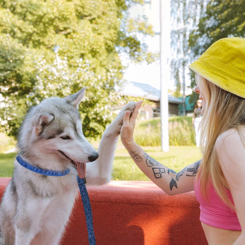 1TO3GO【Upgrade】 Adjustable Dog Training Collar with 4 Extra Links for