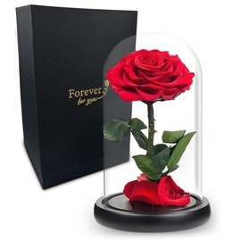 Forever Preserved Real Red Rose! Infinity Rose in Glass Dome - Romantic Gift for Her - Birthday Gift for Wife, Girlfriend, Mom Women - Anniversary, Wedding, Mother's Day (Red Rose, 9-Inch), RD786152