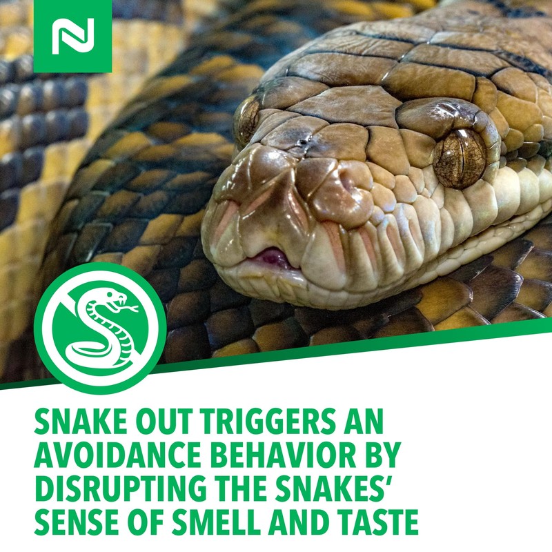 Nisus Snake Out Snake Repellent, Biodegradable, Safe for Pets and