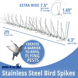 Bird-X Stainless Steel Bird Spikes, 8-inch Extra-Wide Spikes, Bird Spikes for Pigeons and Other Small Birds, Easy to Install, Contains 2 ft. Strips, Covers 24 Linear Feet Area, EWS-24