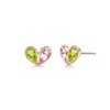 Free bird Women's First Earrings, Popular, Birthstone Earrings, Metal Allergies,