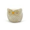 Owl Vase Hand Decorated Home Decoration for Flowers Plants Succulents