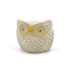 Owl Vase Hand Decorated Home Decoration for Flowers Plants Succulents Diameter 12cm (1, S)