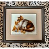 Riolis 1811 Cat with Kitten Counted Cross Stitch Kit, Cotton,