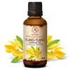 Ylang-Ylang Essential Oil 1.7 Fl Oz - Cananga Odorata -