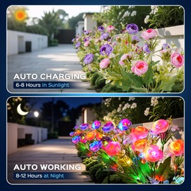 4 Pack Solar Garden Lights Outdoor, LED Colorful Waterproof Solar Powered Peony Flowers Landscape Lights for Patio, Outside Yard, Pathway Decorative, Décor, Two Lightning Modes