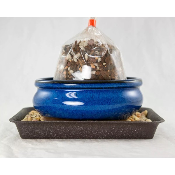 Takashima 5" Oval Blue Stain Glazed Bonsai / Succulent Pot