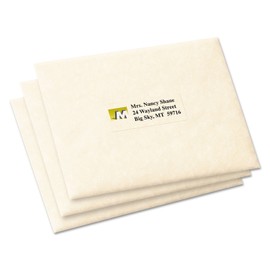 Avery 18660 Clear Mailing Labels 300 Count