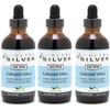 Ultra Silver 500 PPM 4 Ounce - 3 Pack