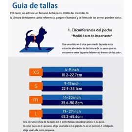 AZULIDMEN 3 Paquete Pañales para Perros Femeninos, pañales para Altamente absorbentes para Perros Femeninos, pañales Lavables para Perros en Calor, incontinencia o micción excitable (3 Colores-01, S)