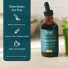 Forage Hyperfoods Forage Hyperfoods - Lion's Mane Tincture, With Premium