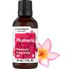 Horbäach Plumeria Fragrance Oil | 1 fl oz (30ml) |