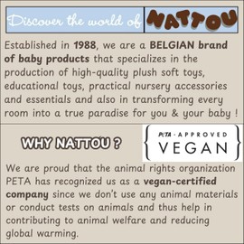 Nattou Teddy - Cuddly Octopus, Soft Plush Toy, 20 cm, Ecru