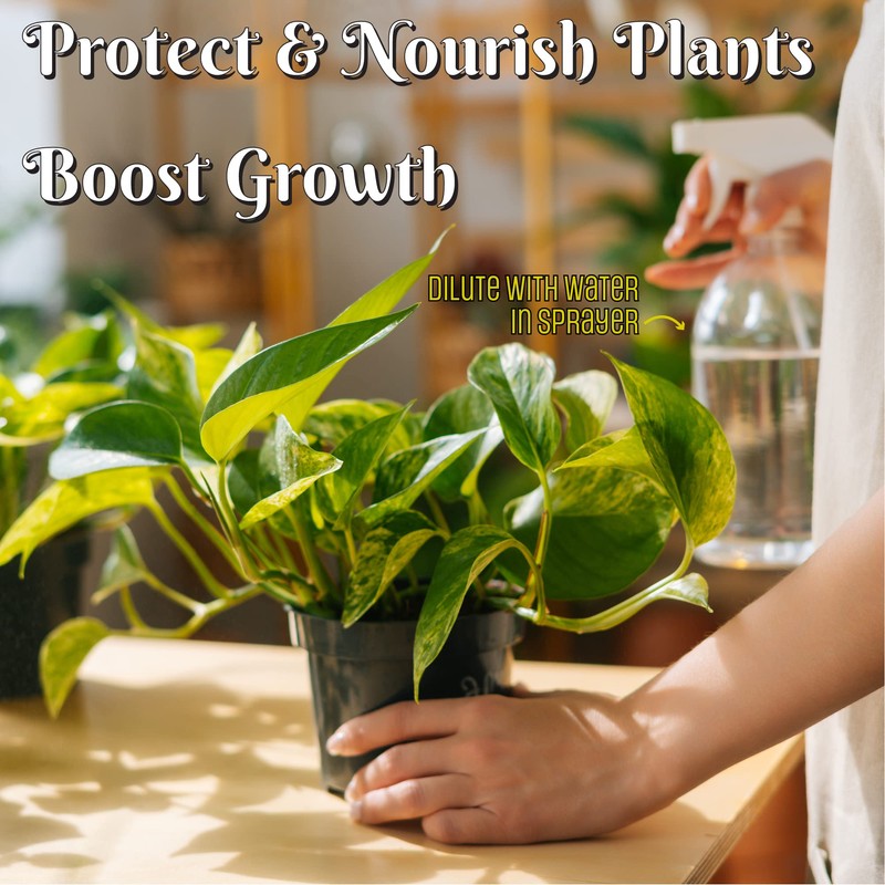 SimpleNature 6% Food Grade Hydrogen Peroxide Solution - 1 Gallon