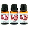 Anise (Made in USA) 3 Bottles 1/2 Fl Oz Each