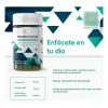Suplemento Concentración Mental Acido Fólico Nootropicos Limón Y Jengibre