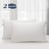 GOHOME Queen Size Pillow Set of 2 - Fluffy Down