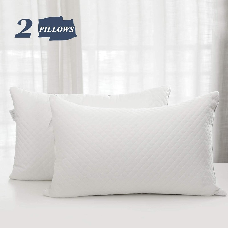 GOHOME Queen Size Pillow Set of 2 - Fluffy Down