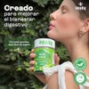 Probióticos En Gomitas Sin Azúcar + Fibra Inulina y Lactobacilos