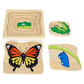 Montessori Butterfly Life-Cycle Puzzle
