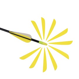 ELONG OUTDOOR 3 Inch Plastic Arrow Feathering Rubber Feathers Plastic Feathers DIY for Arrows Archery Arrows Carbon Arrows Vane for Archery Hunting Shooting - Pack of 50