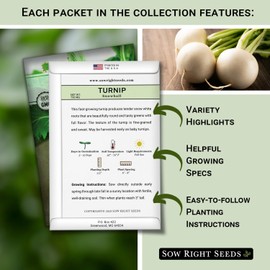 Sow Right Seeds - Collection of Turnip Seeds for Planting - Non-GMO Heirloom Packet with Instructions to Plant & Grow an Outdoor Home Vegetable Garden - 2 Varieties Include Purple Top & Snowball