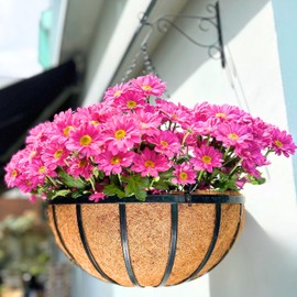 LaLaGreen Outdoor Hanging Baskets for Plants (2 Pack, 20 Inch) Extra Large Black Metal Flat Iron Hanging Planters with Coco Liner Round Flower Pot Holder Hanger Deck Porch Modern Garden Balcony Decor
